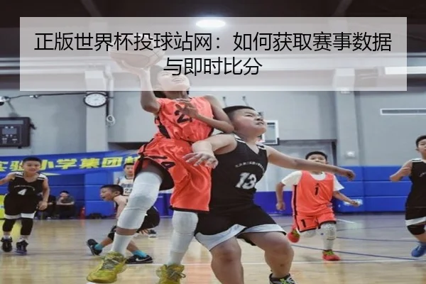 正版世界杯投球站网：如何获取赛事数据与即时比分